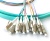 LC/upc 12 Fibers MM OM3 (50/125) Bunch 0,9mm Pigtail -- 1,5m