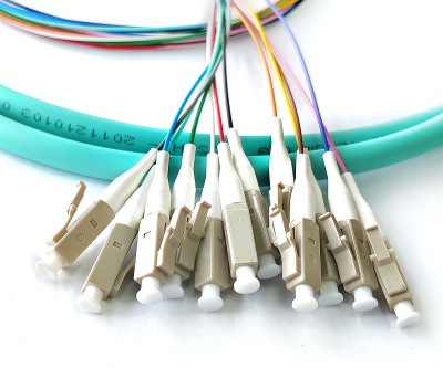 LC/upc 12 Fibers MM OM3 (50/125) Bunch 0,9mm Pigtail -- 1,5m