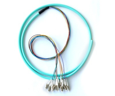 LC/upc 12 Fibers MM OM3 (50/125) Bunch 0,9mm Pigtail -- 1,5m